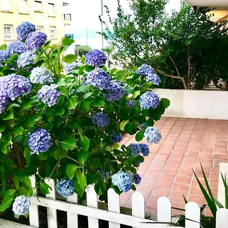 Playa Silgar 30m Apartment