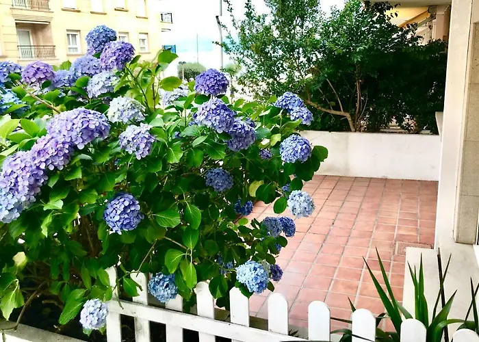 Playa Silgar 30m Apartamento